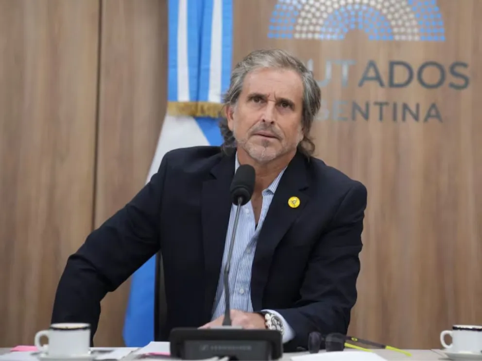 Bertie Benegas Lynch Bertie Benegas Lynch preside la Comisión de Supervisión Parlamentaria que impulsó la auditoría y las nuevas restricciones sobre la Oficina de Presupuesto del Congreso. Prensa Diputados