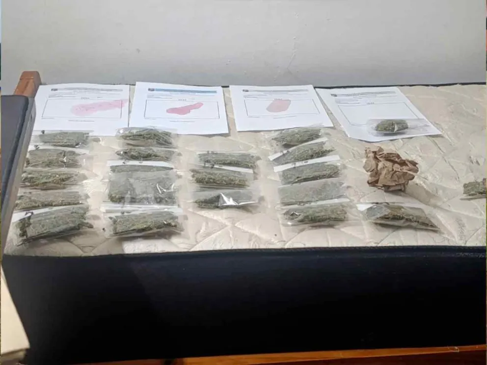 Marihuana incautada