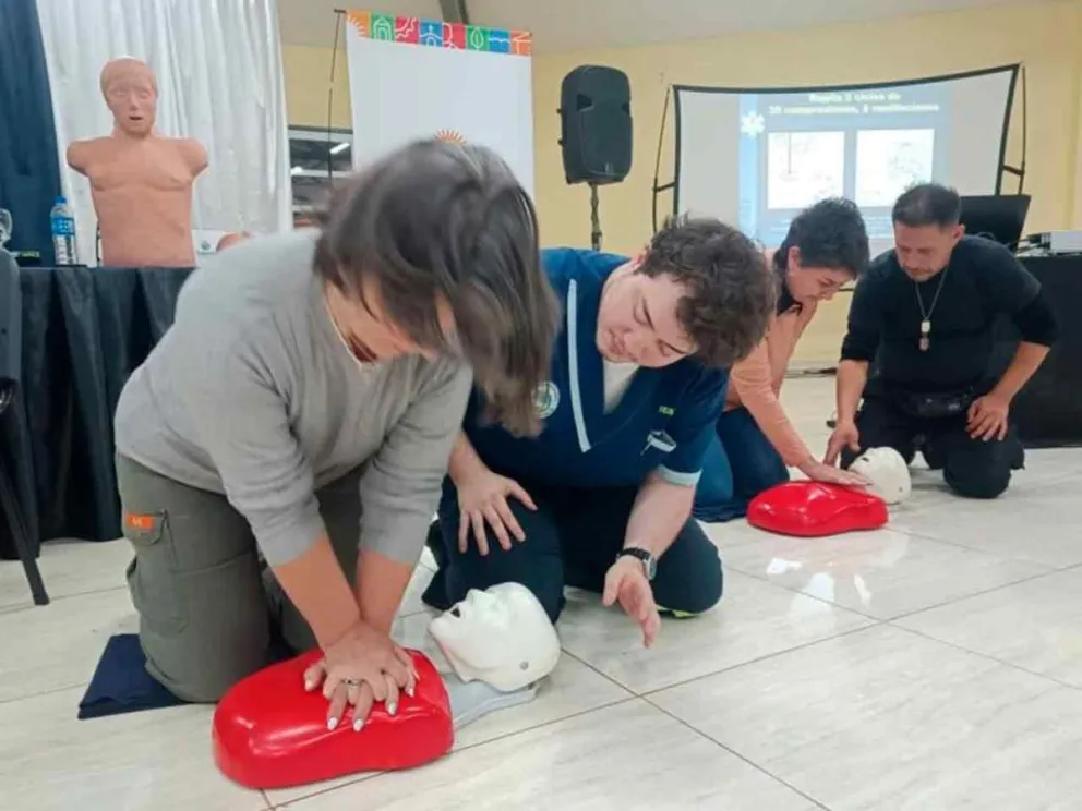 Actividad teórica - práctica