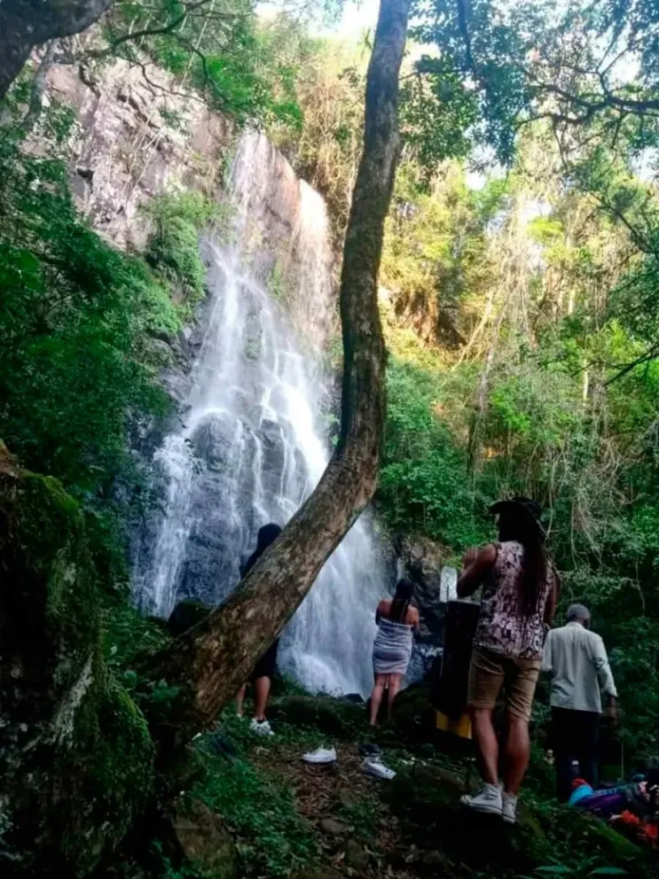 Jardín Botánico Municipal Yvy Porá
