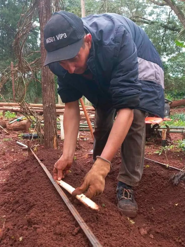 Beneficia a los productores