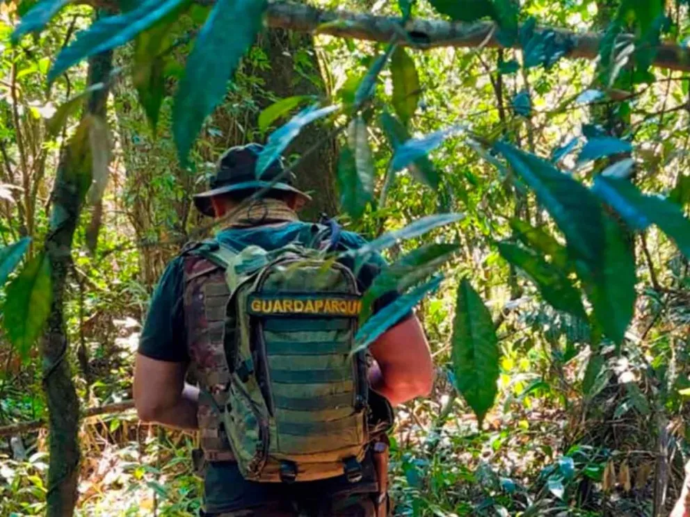 Informaron desde el Ministerio de Ecología
