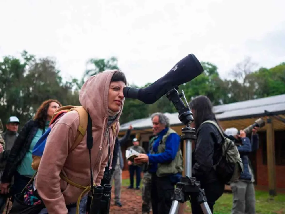 Observación de aves, el 14 y 15 de noviembre