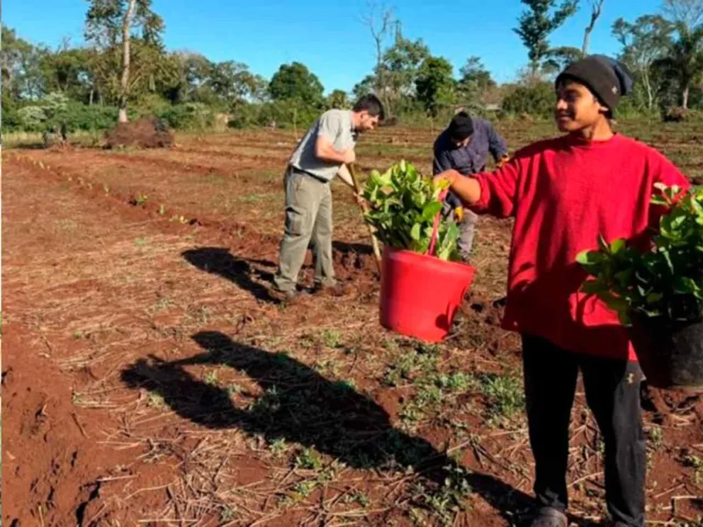 Promover la diversidad y la conservscion del ambiente