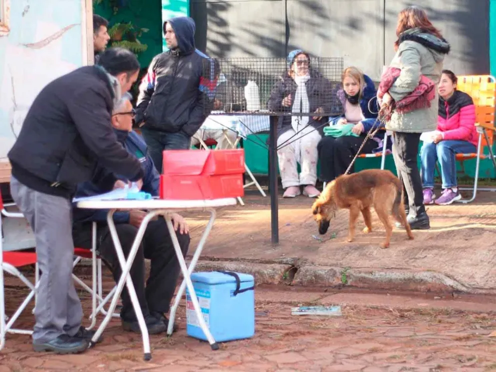 Vacunación antirrábica, castración y chequeos