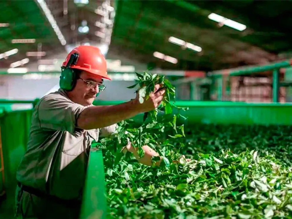 Políticas de acompañamiento productivo