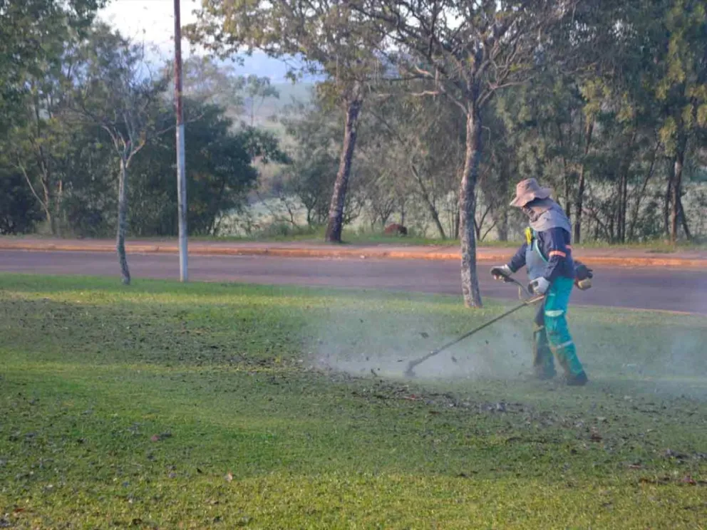Desmalezado, limpieza y conservación