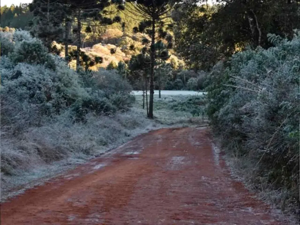 Informó Pronóstico del Litoral
