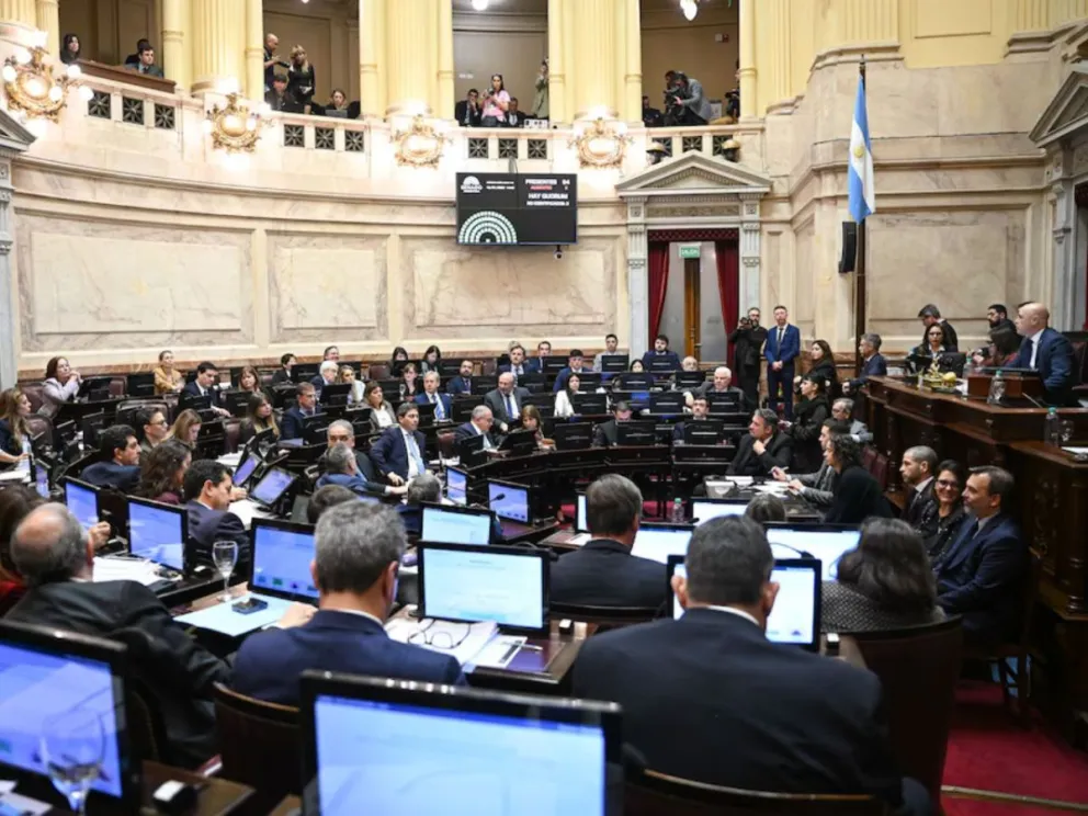 El pleno de la Cámara alta durante la sesión de este jueves, donde se votó un cuarto intermedio hasta el 6 de agosto (Prensa Senado)