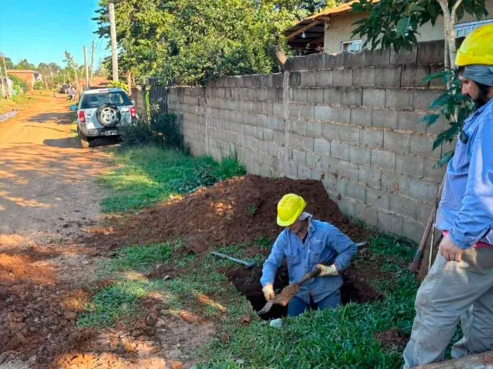 Apertura y preparación de bases