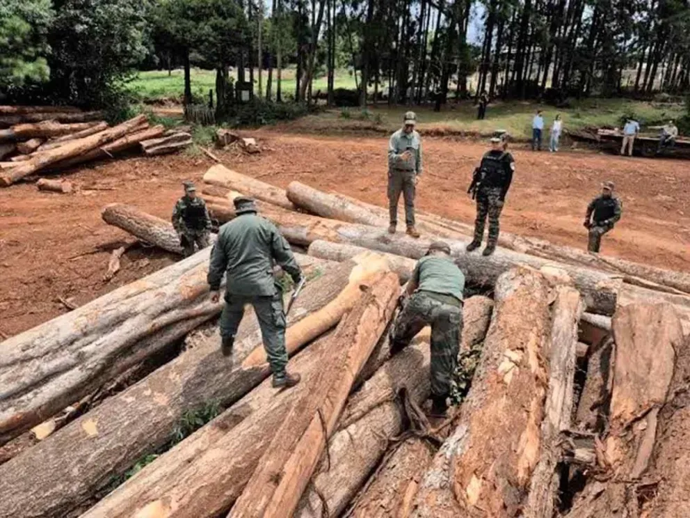 En el marco de la Resolución Nº 182/26