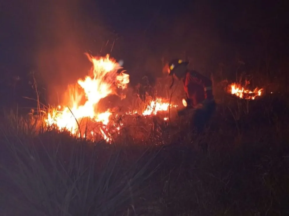 Ante la presencia de humo, alertar al 911 