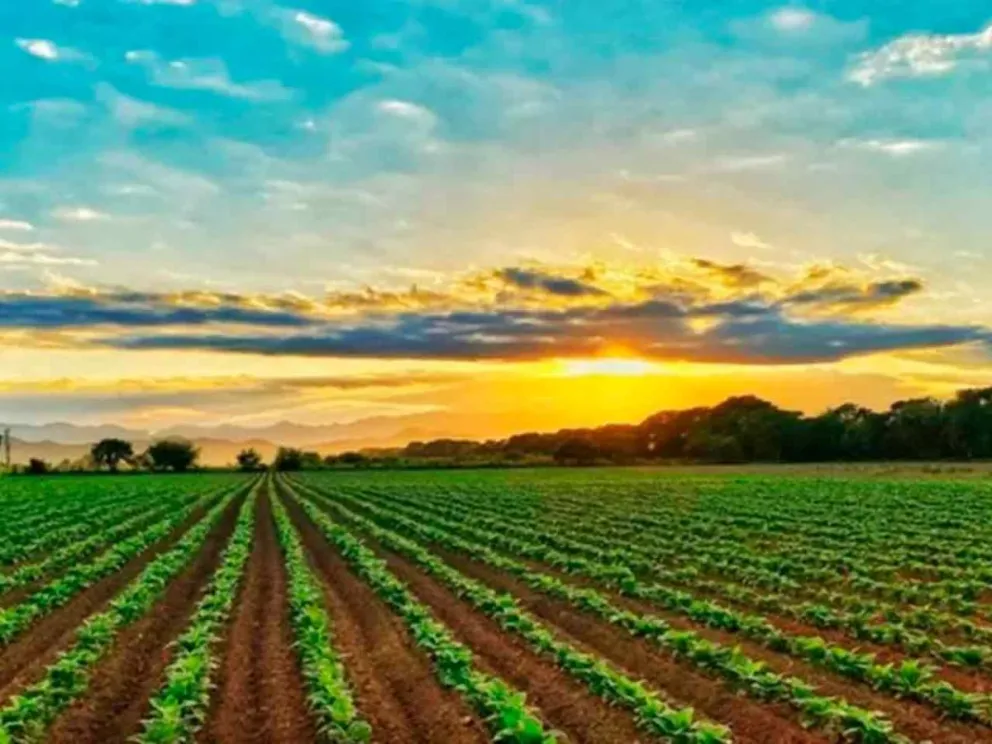 Resguardar los recursos y proteger la tierra