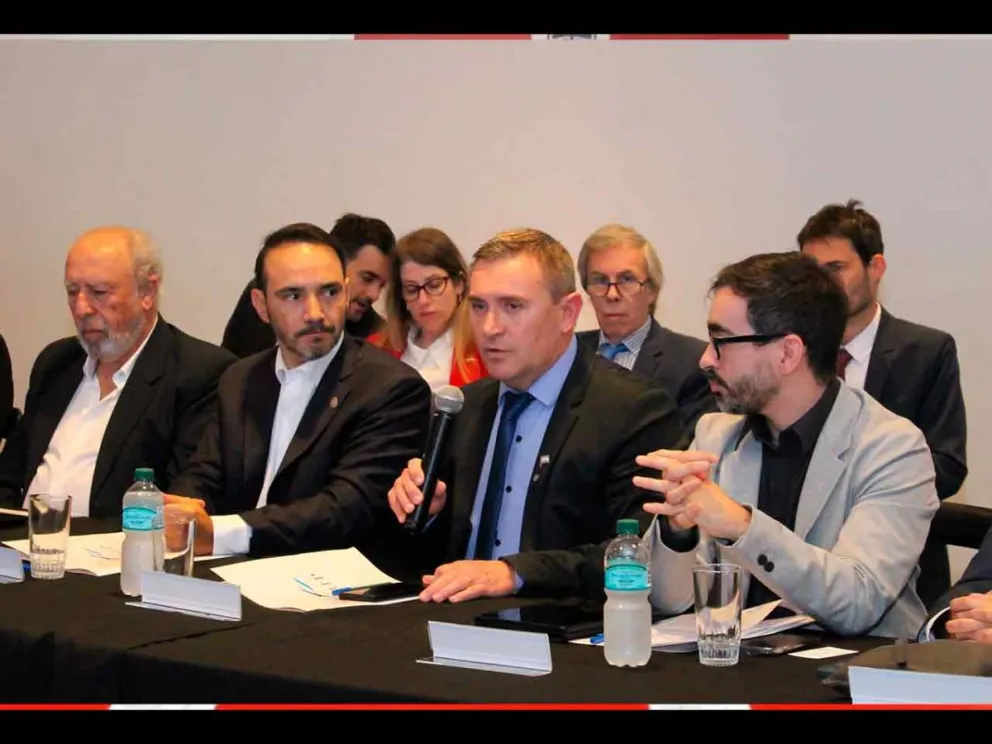 VIII Reunión Plenaria Binacional del Grupo Encarnación