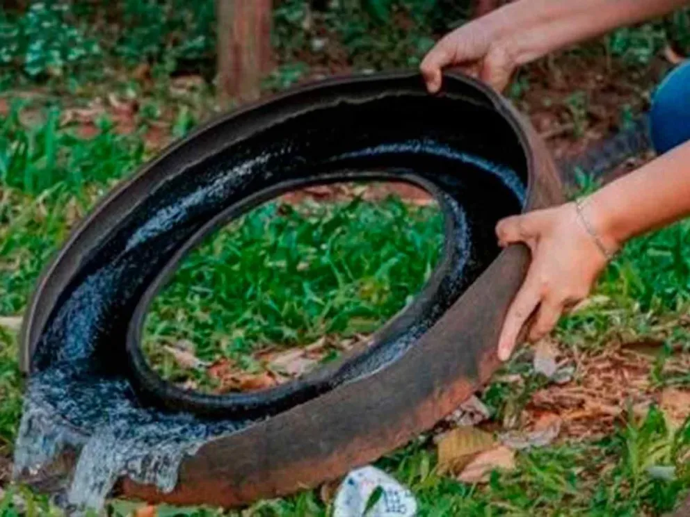 Instan a la comunidad a realizar tareas de prevención