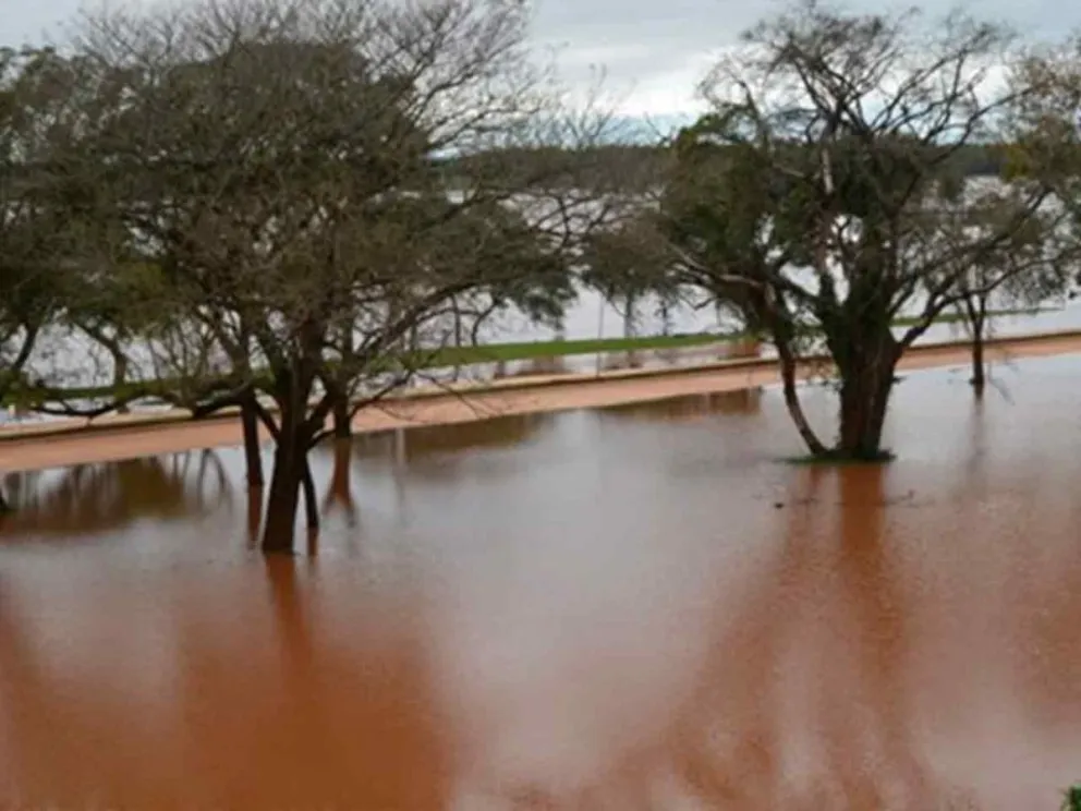 Por el término de 180 días