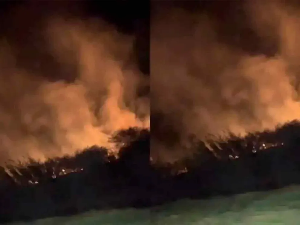 Bomberos de Mercedes combatieron el fuego