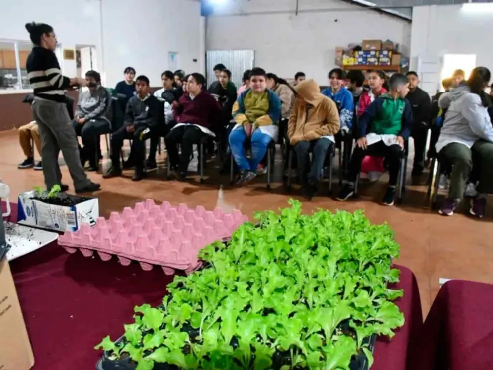  Promueve la producción sustentable