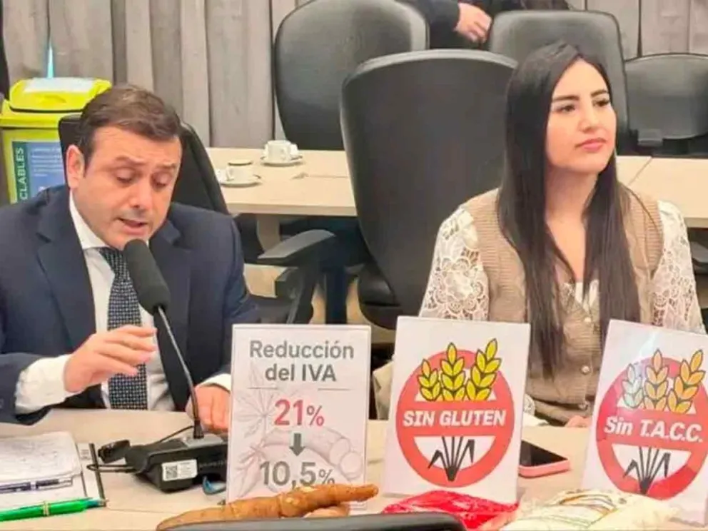 Oscar Herrera Ahuad defendió el proyecto en la comisión