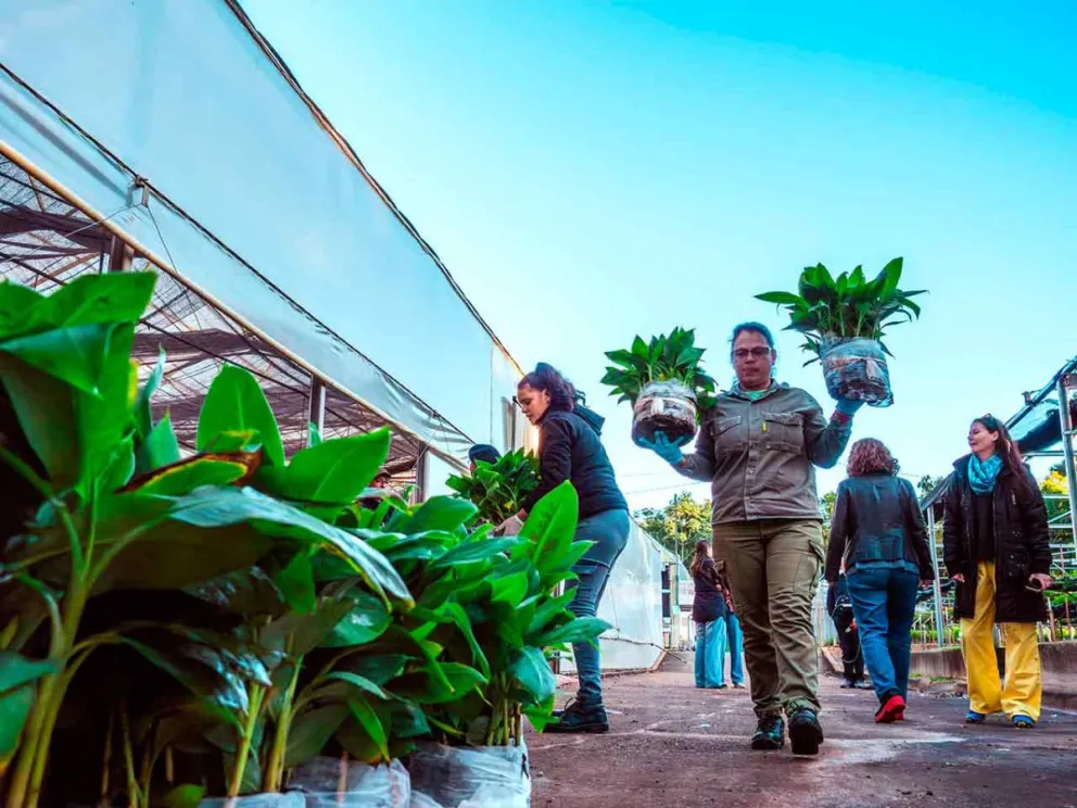 Producidos con biotecnología