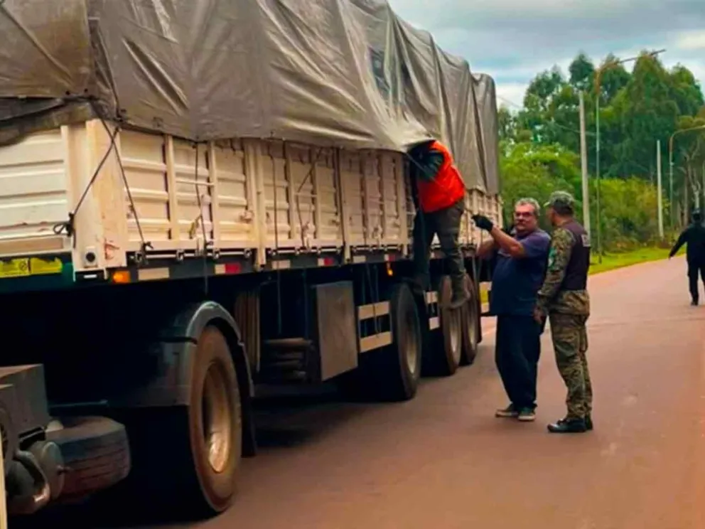 Fiscalización contra la deforestación nativa