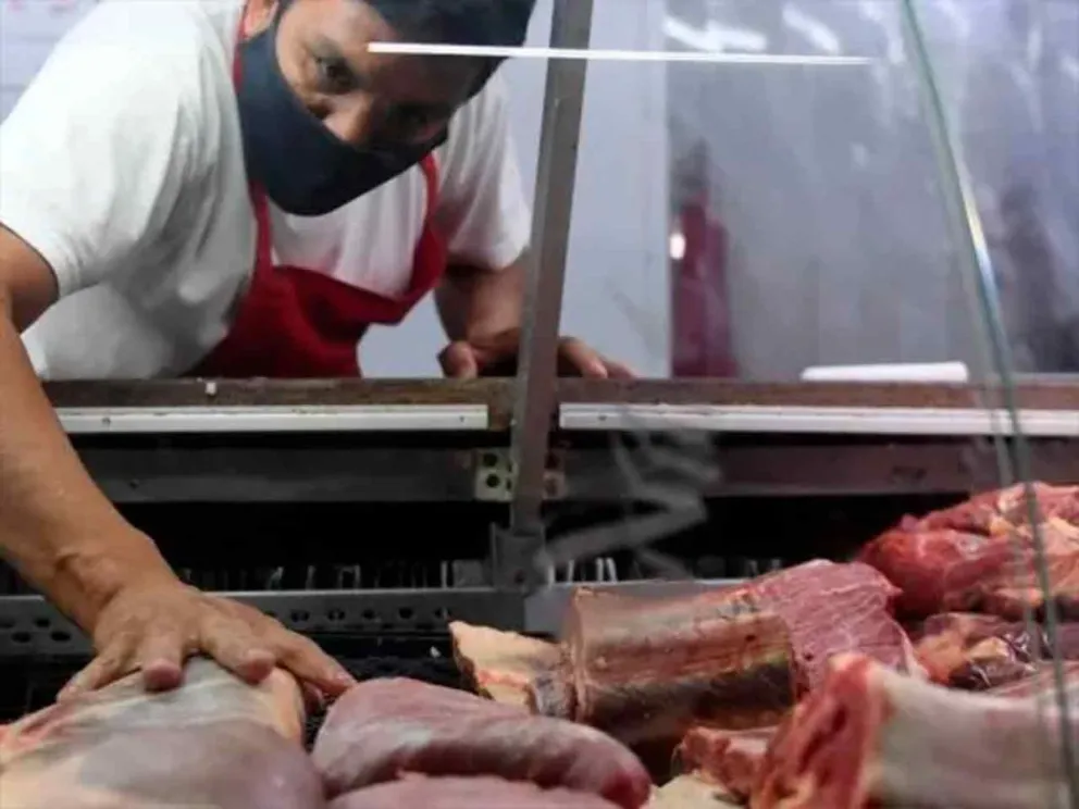 Descendió un 9,4% o 4,8 kilos menos frente a julio de 2025