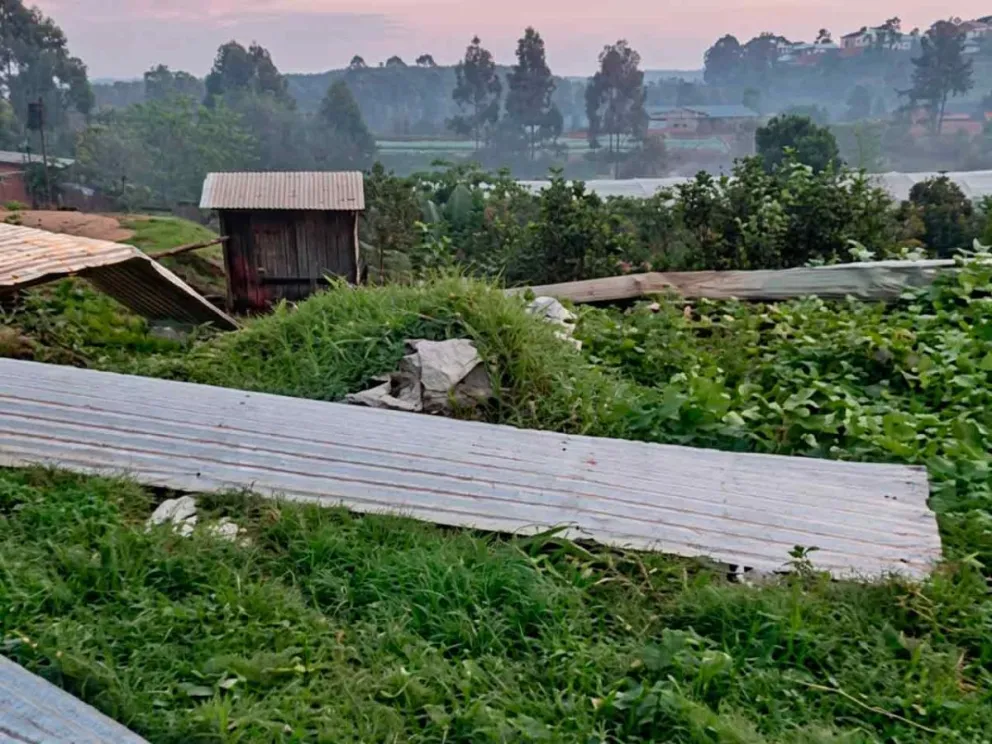 Dañó yerbales, tabacales, cultivos, casas y galpones