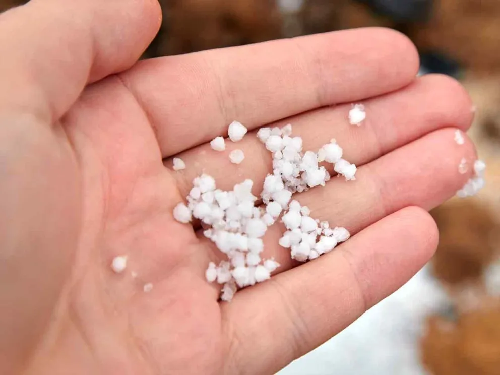 Pequeños gránulos de hielo opaco y blando