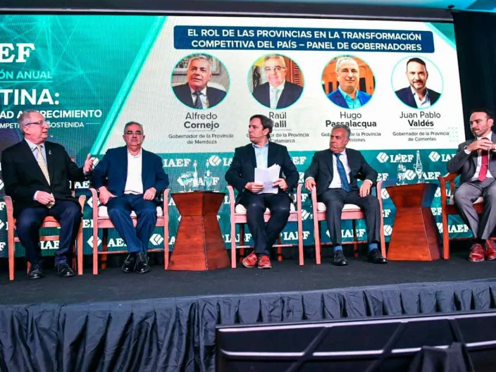 Panel mandatarios provinciales, convención del IAEF