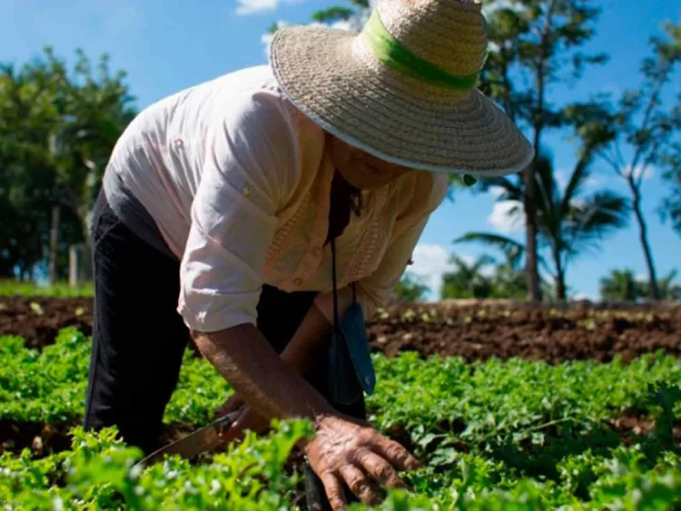 Abordará diferentes desafíos