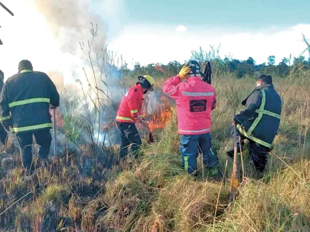 Las dotaciones realizaron varias intervenciones