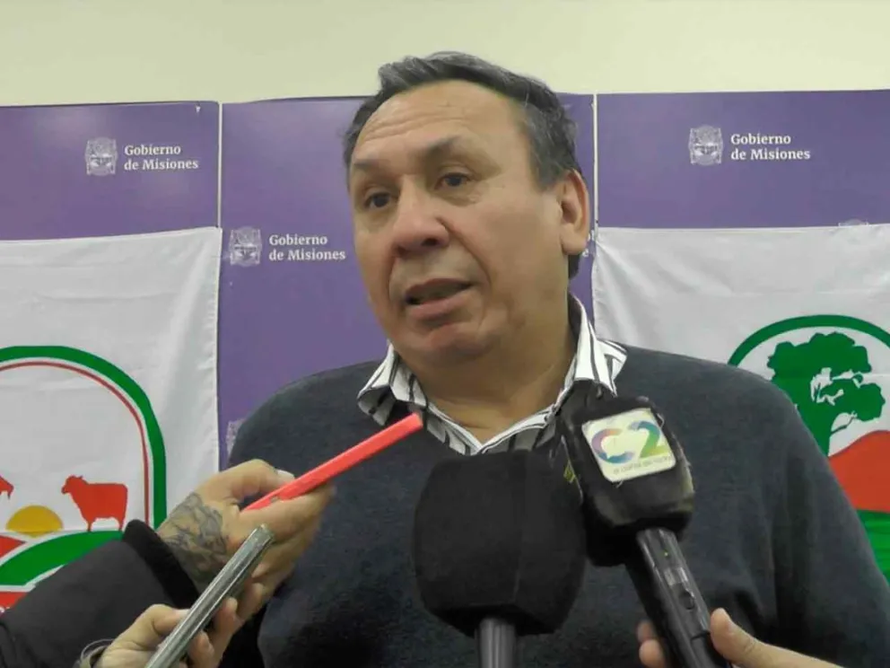 Ricardo Maciel 