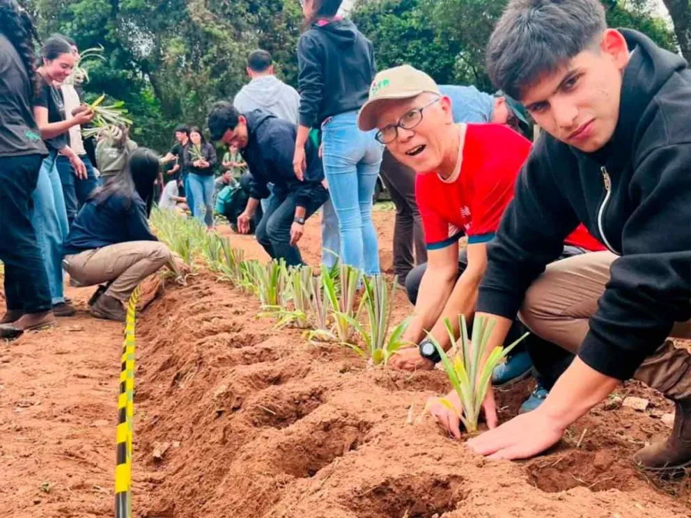 Importante participación