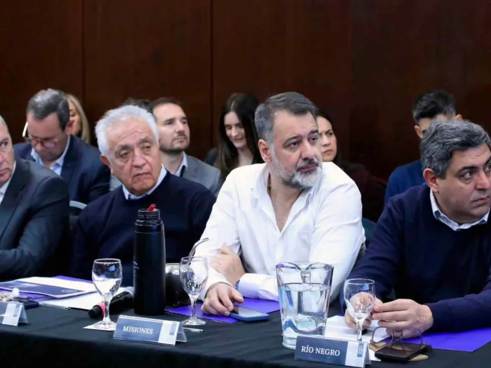 Héctor González, en la reunión federal