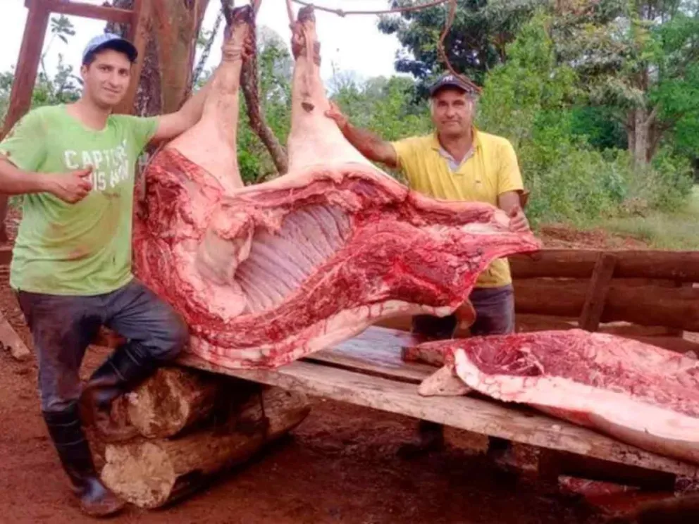 Sorprendió a una familia productora