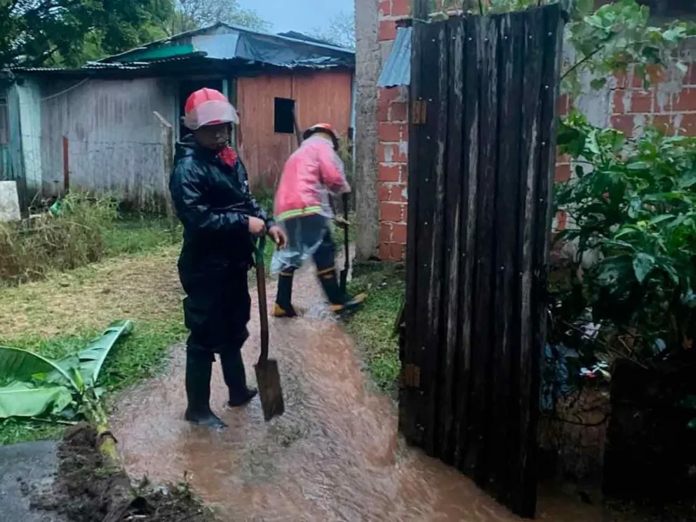 El caudal de agua avanzó sobre los patios