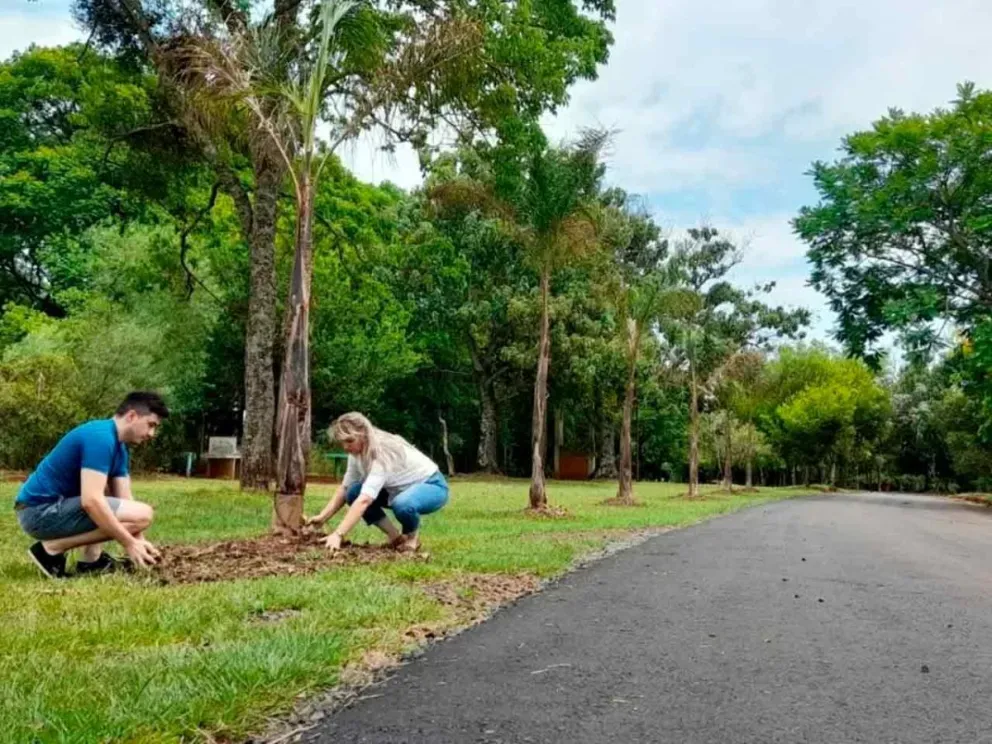 Se llevará a cabo del 8 al 10 de octubre