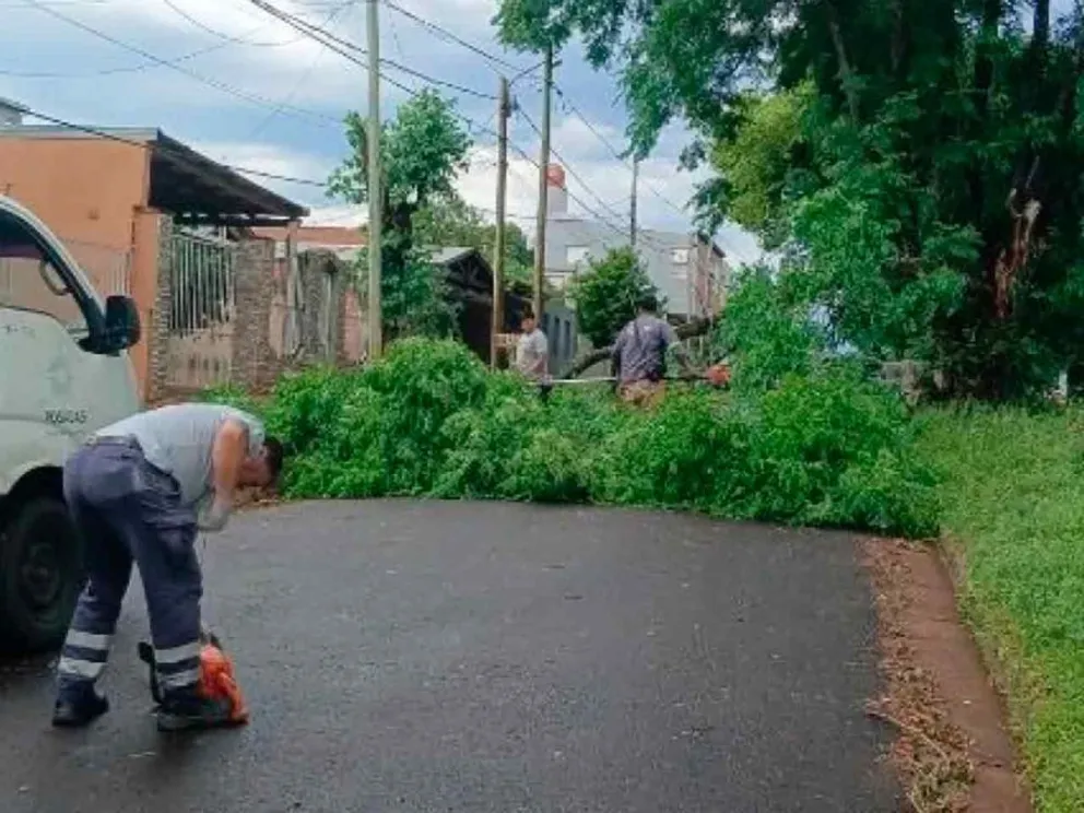 Daños materiales e interrupción del tránsito 