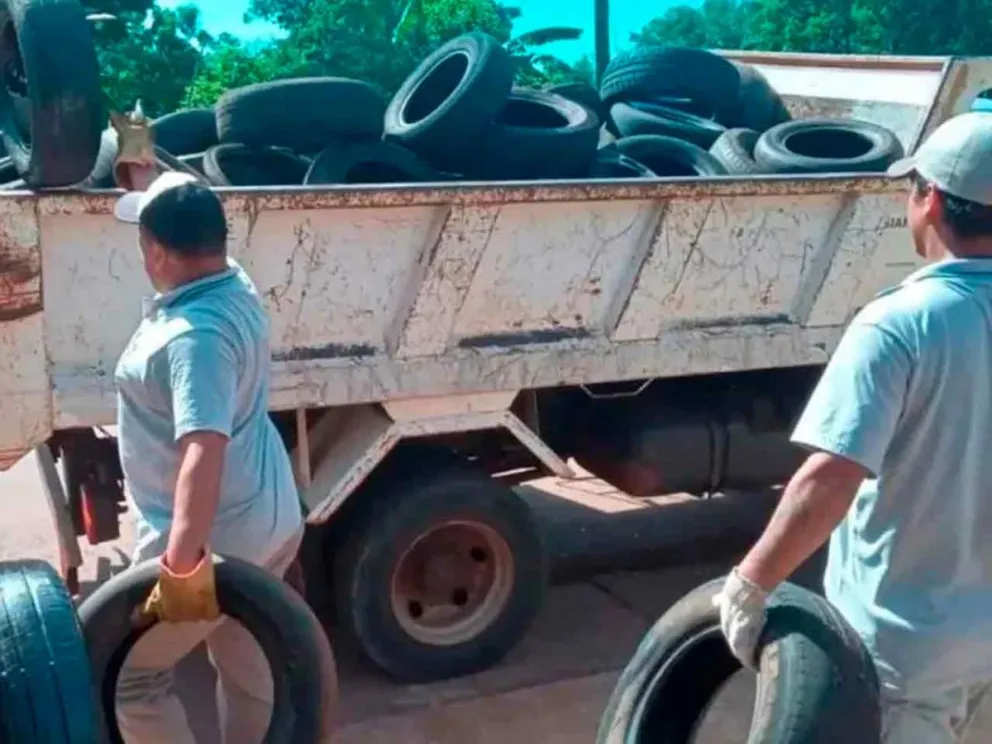 Recolección de cubiertas desechadas 