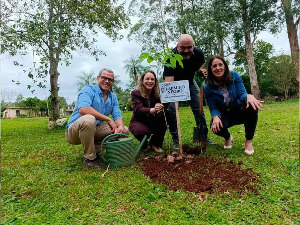 Plantación de la flor emblemática de la Provincia