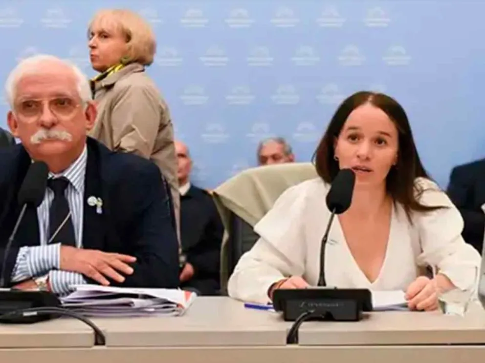María Ibarzabal Murphy defendió el “Proyecto Malvinas”