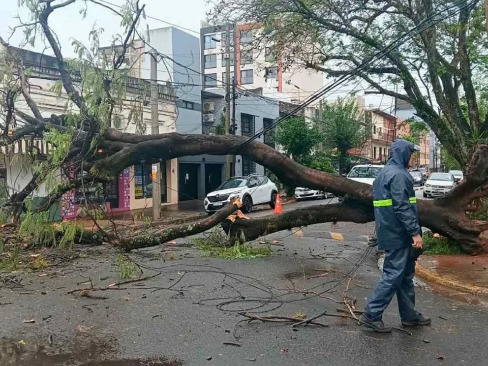 Ocurrió ayer a las 15:00 en Barrufaldi y Líbano