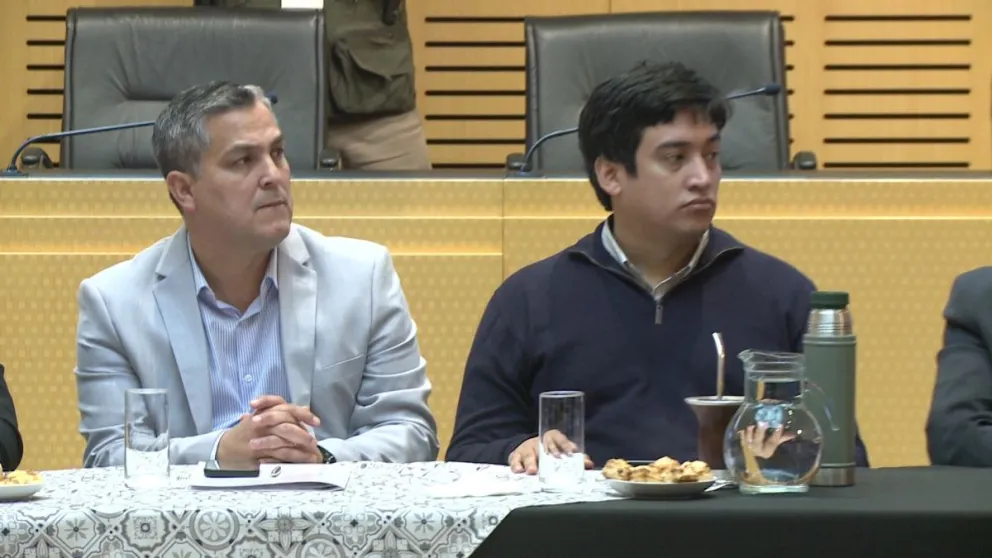 Roberto Padilla, en la Comisión de Salud