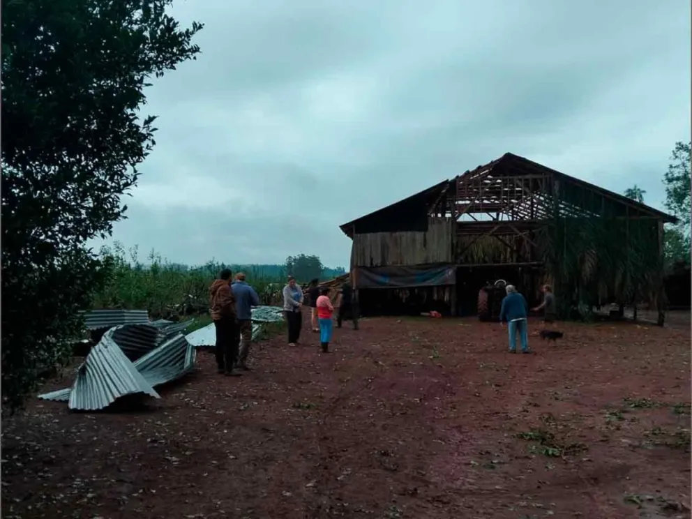 Daños en galpones de tabaco: voladura de techos 