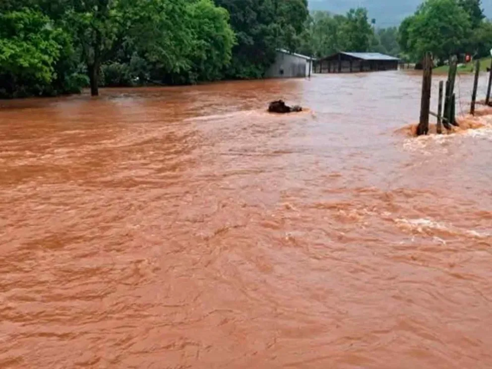  Informó la Dirección General de Alerta Temprana