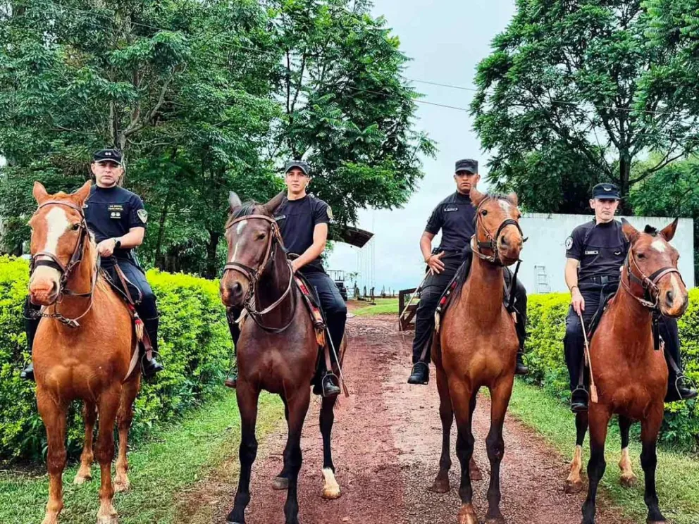 Policía Montada 