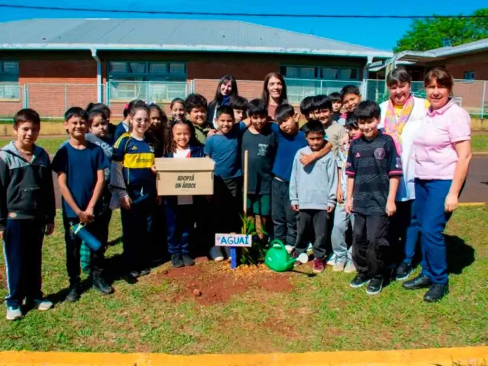 Los alumnos asumen el cuidado del árbol
